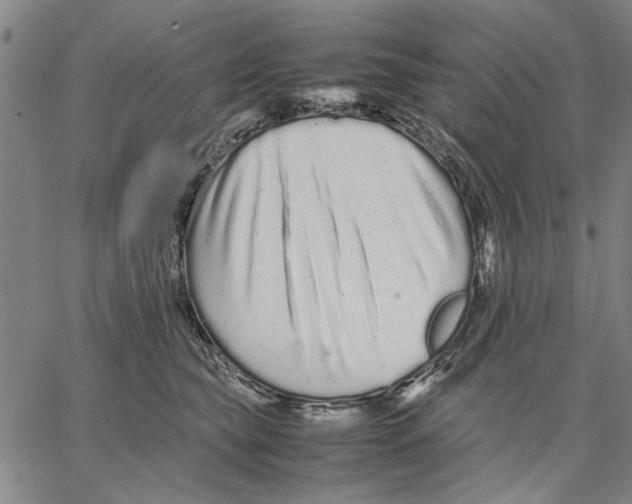 X0000066080565200604071735