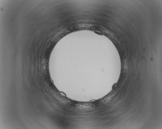 X0000066080567200604071735