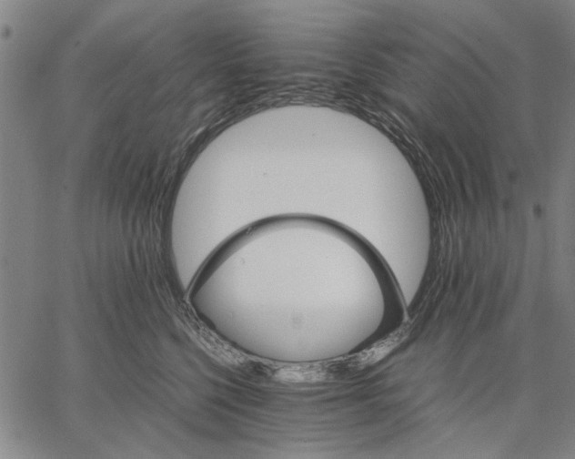 X0000066080568200604071735