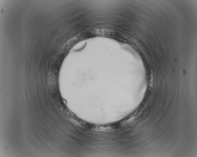 X0000066080569200604071735