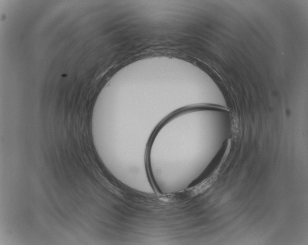 X0000066080572200604071735