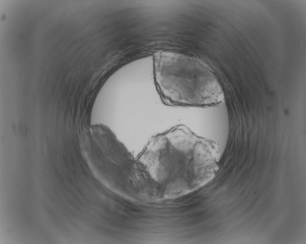 X0000066080573200604071735