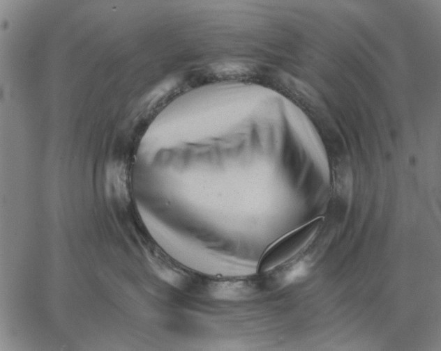 X0000066080575200604071735