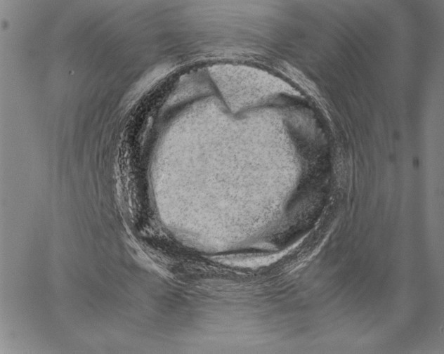 X0000066080577200604071734