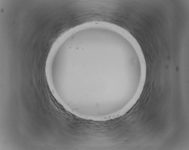 X0000066080579200604071734