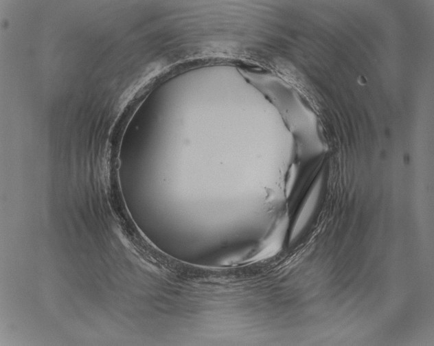 X0000066080580200604071734