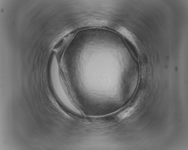 X0000066080581200604071734