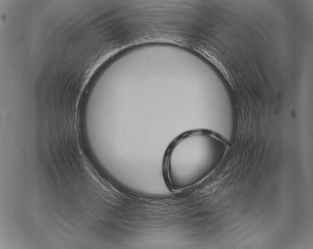 X0000066080584200604071734