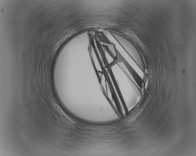 X0000066080585200604071734