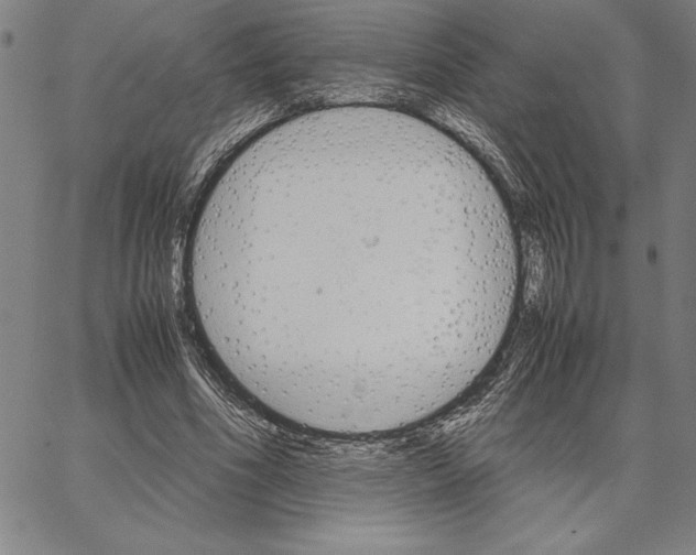 X0000066080586200604071734