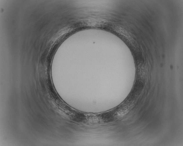 X0000066080587200604071734