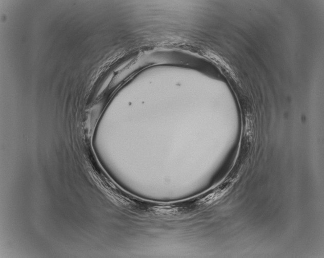 X0000066080589200604071734