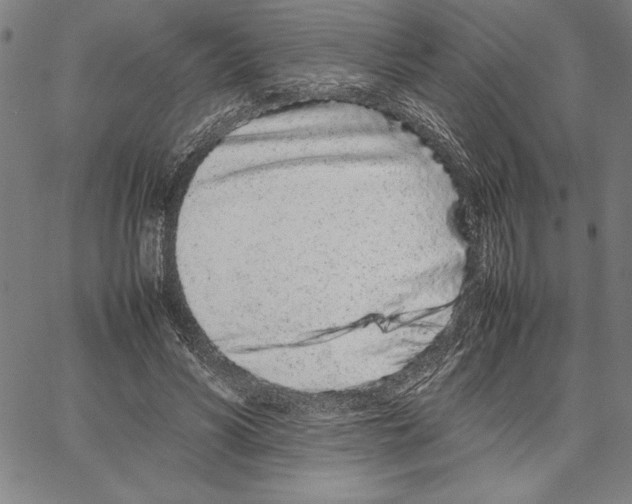 X0000066080590200604071734