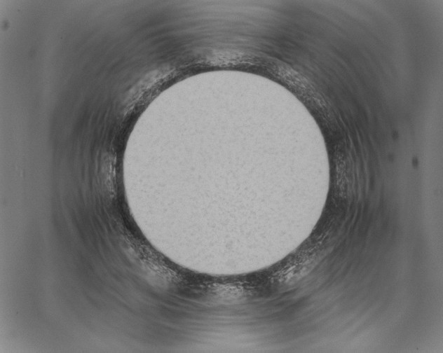 X0000066080592200604071734