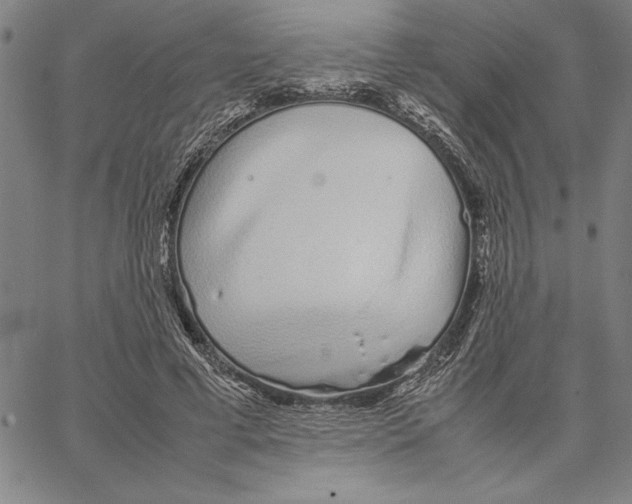 X0000066080593200604071734