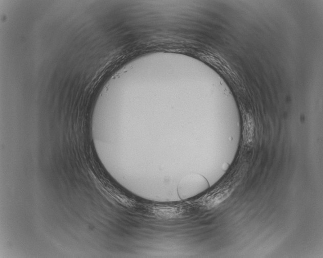 X0000066080598200604071734