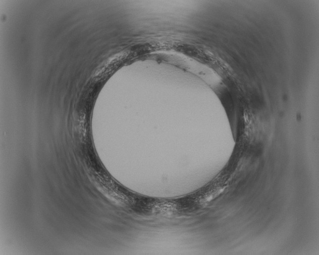 X0000066080599200604071734