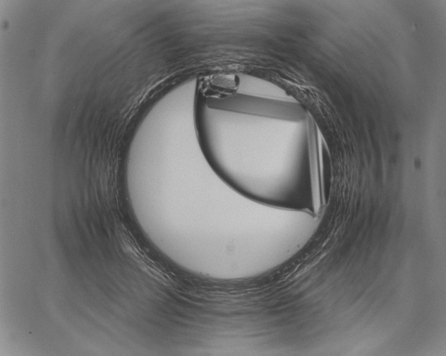 X0000066080600200604071734