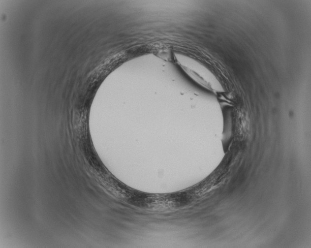 X0000066080601200604071734