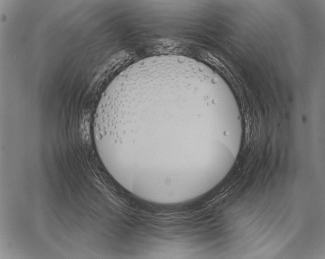 X0000066080602200604071734