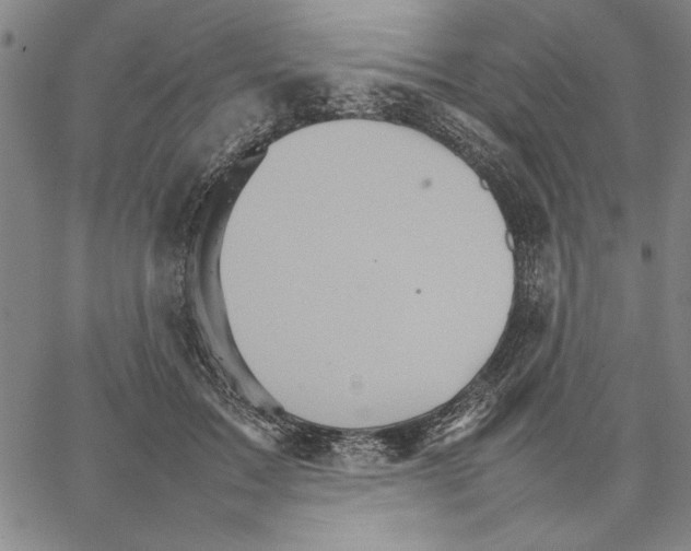 X0000066080603200604071734