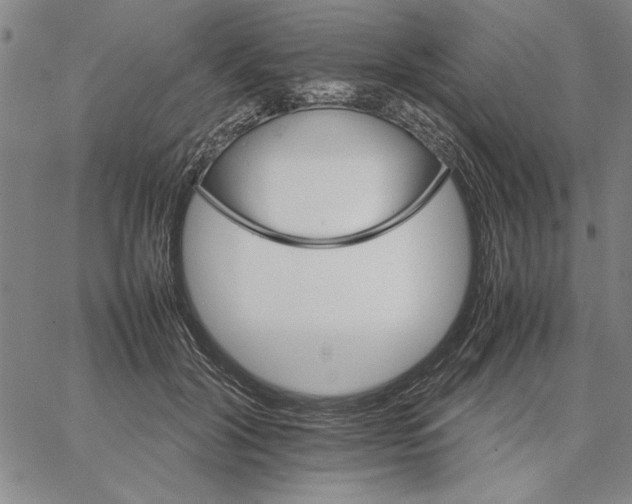 X0000066080604200604071734