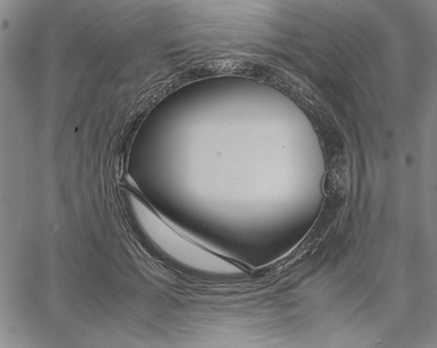 X0000066080605200604071733