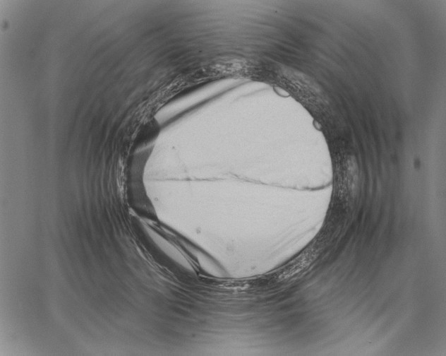 X0000066080606200604071733