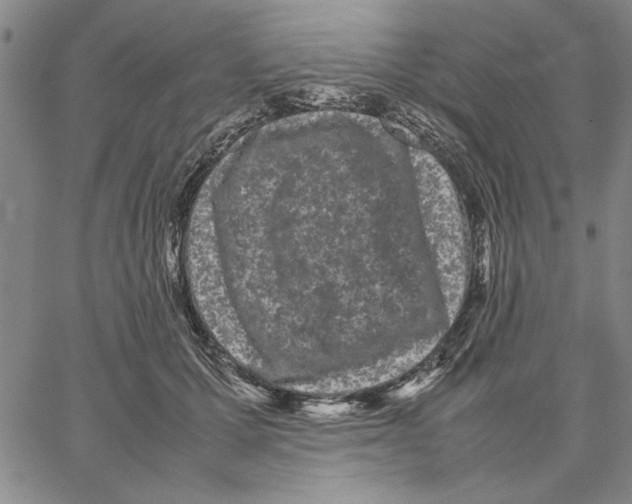 X0000066080607200604071733