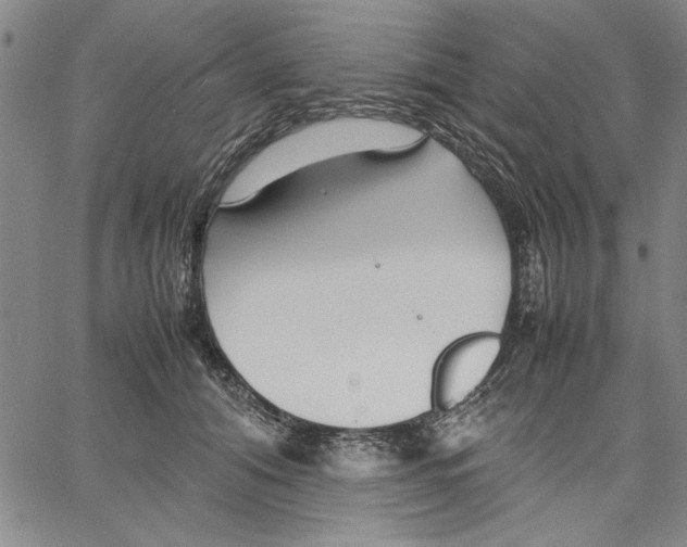 X0000066080608200604071733