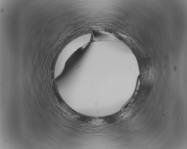 X0000066080609200604071733