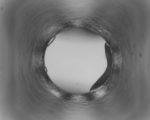 X0000066080611200604071733