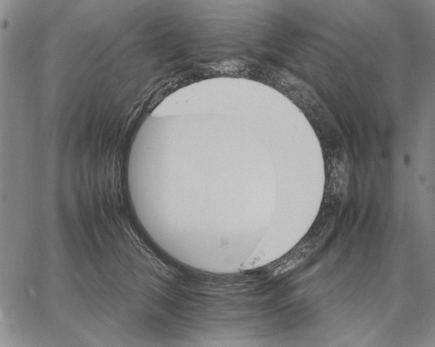 X0000066080612200604071733