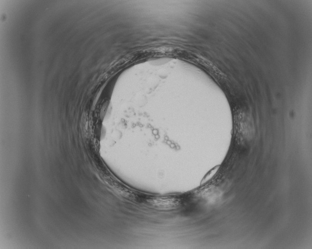 X0000066080615200604071733