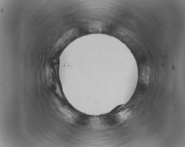 X0000066080616200604071733