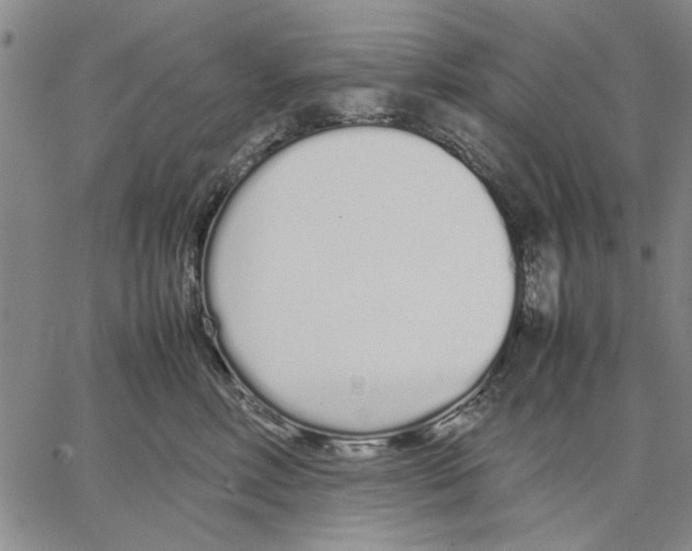 X0000066080618200604071733