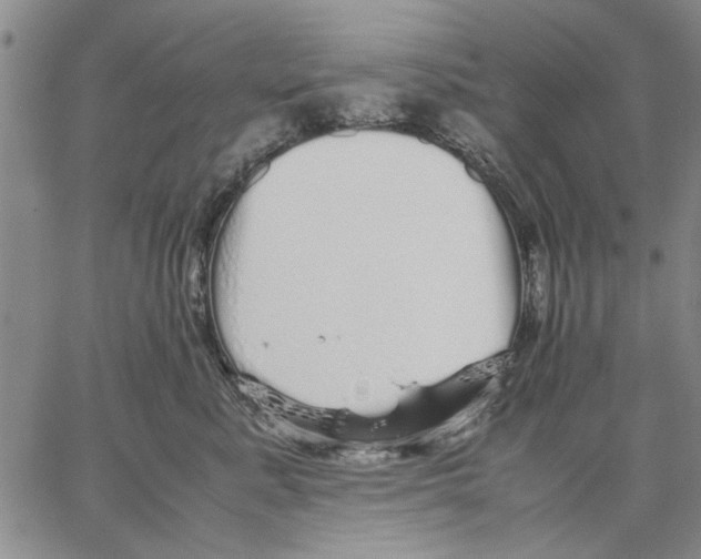 X0000066080619200604071733