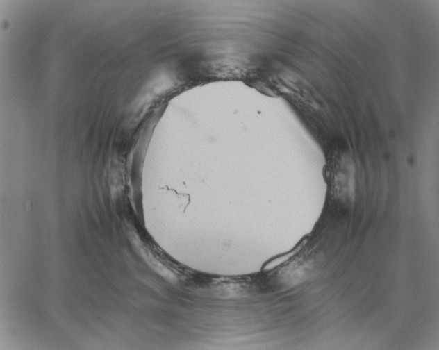 X0000066080620200604071733