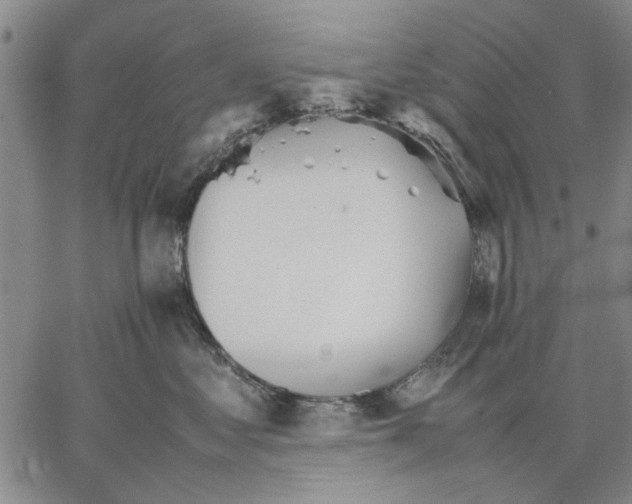 X0000066080621200604071733