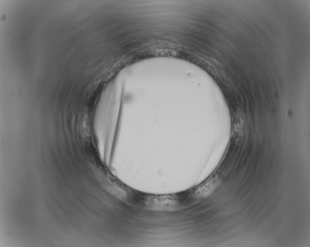 X0000066080622200604071733