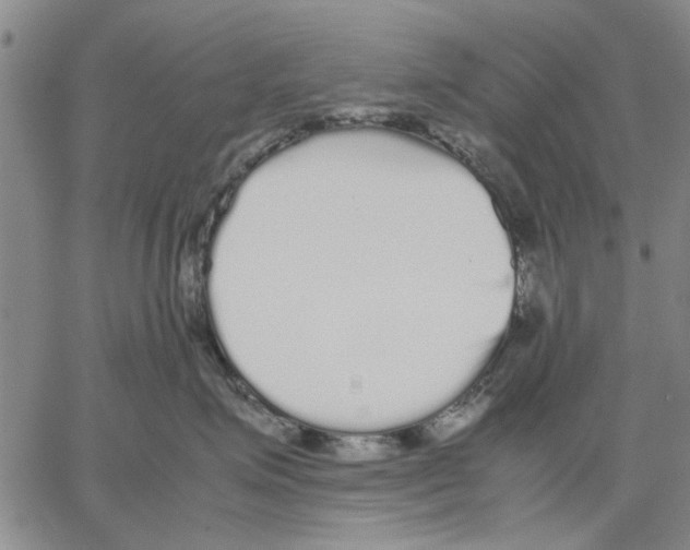 X0000066080623200604071733