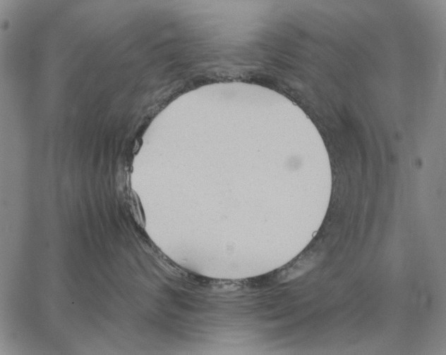 X0000066080624200604071733