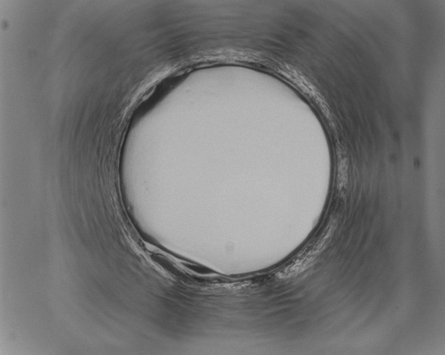 X0000066080625200604071732