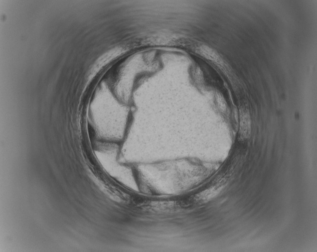 X0000066080626200604071732