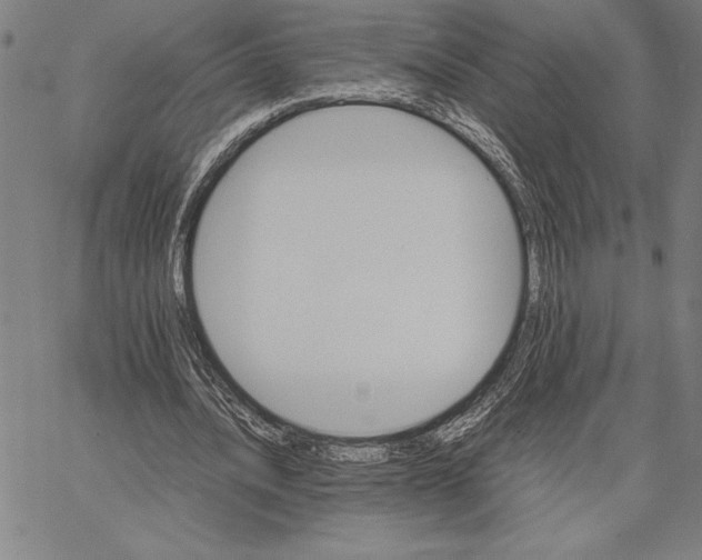 X0000066080628200604071732