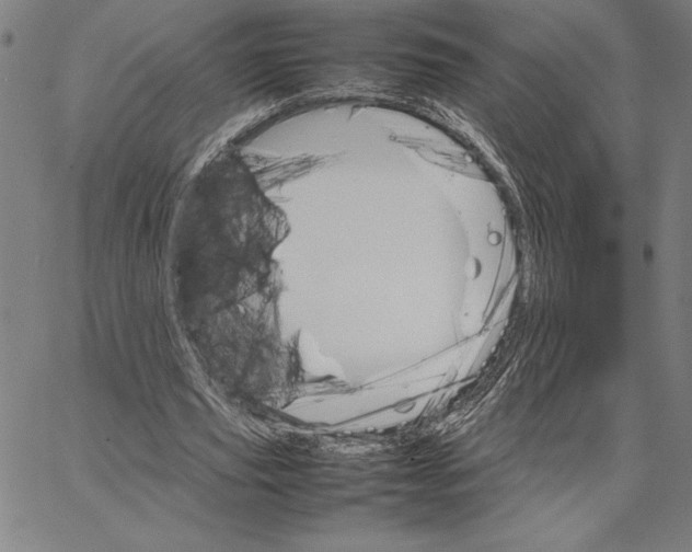 X0000066080629200604071732