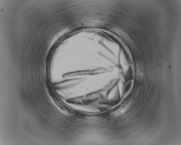 X0000066080630200604071732