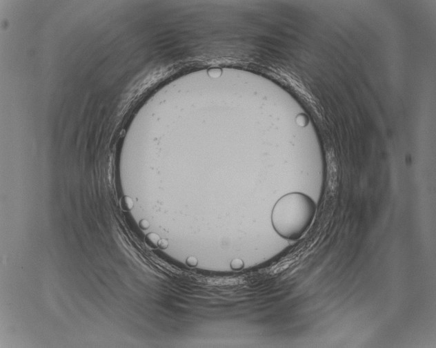 X0000066080631200604071733