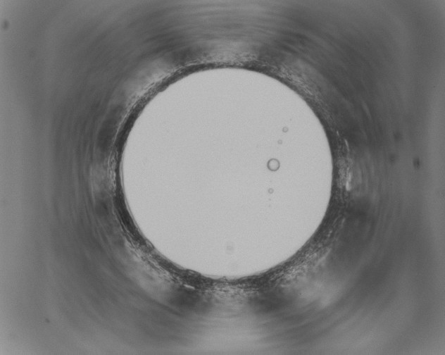 X0000066080632200604071733