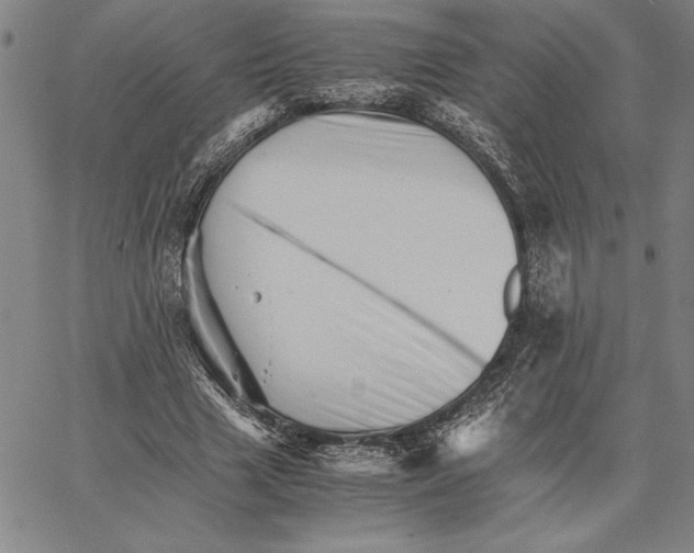 X0000066080633200604071733